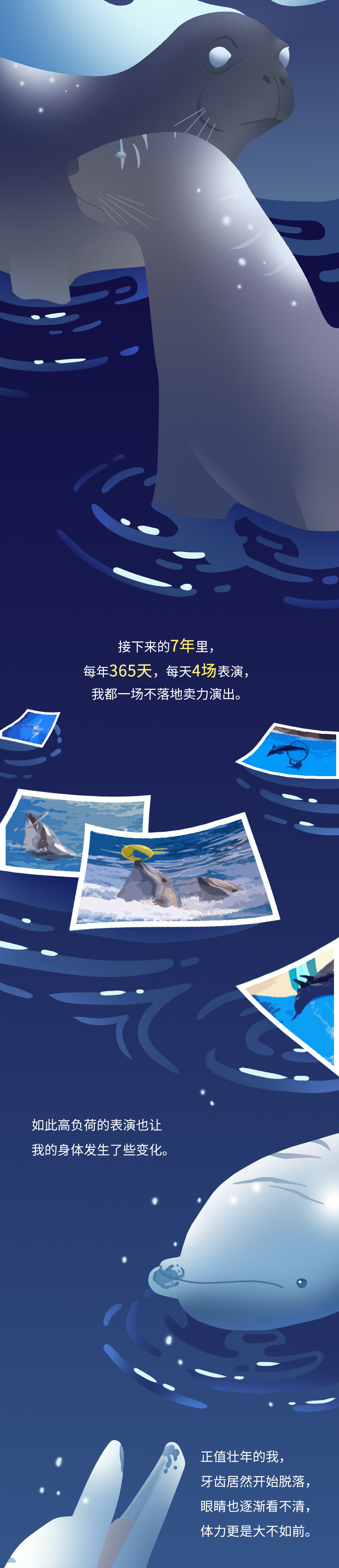 海豚娱乐棋牌苹果版星辰棋牌娱乐app苹果版-第1张图片-太平洋在线下载
